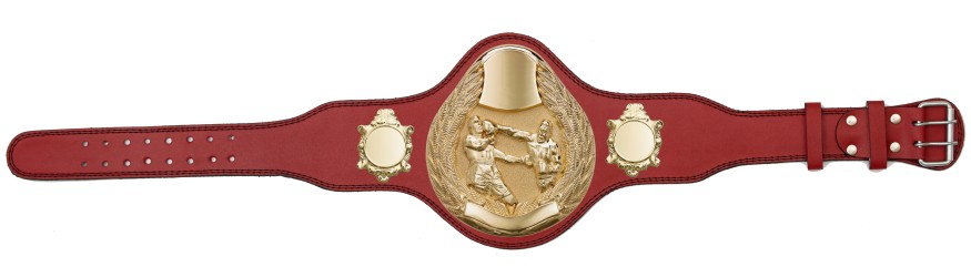 BOXING CHAMPIONSHIP BELT-PLT301/G/BOXG-4 COLOURS